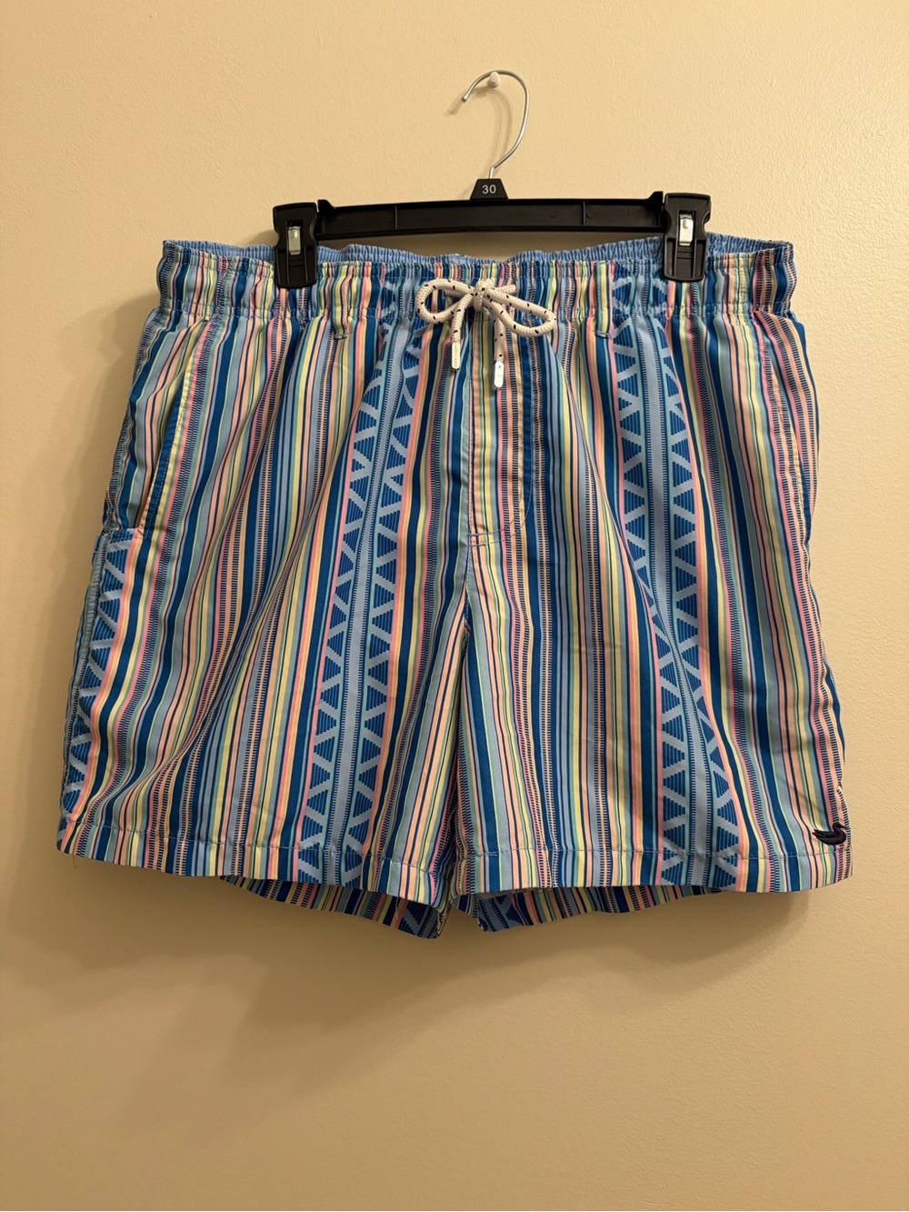 Southern Marsh Blue Multistripe Swim Trunks